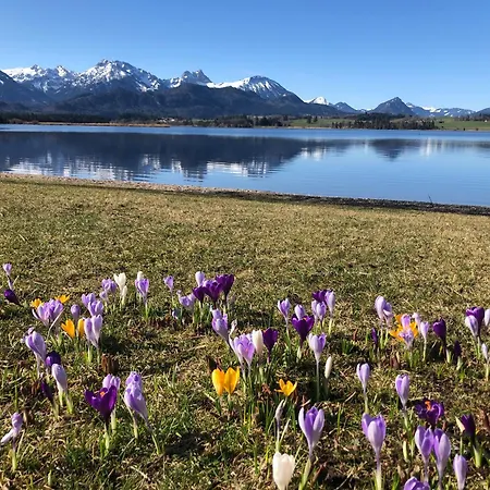 Biohotel Eggensberger ホテル フュッセン